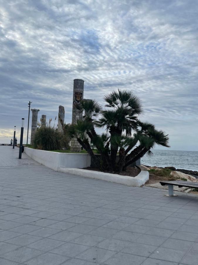 Apartment Goya Torrevieja Exterior photo